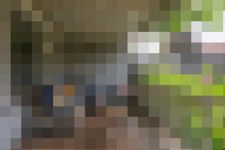 Schouwbroekseweg 45 Eindhoven thumbnail 39