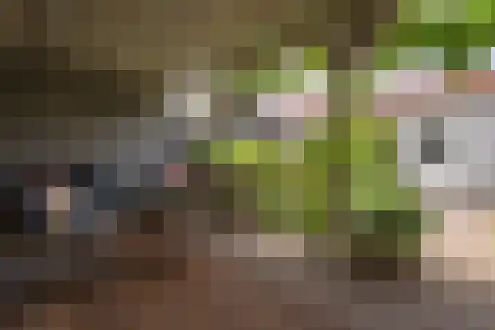 Schouwbroekseweg 45 Eindhoven thumbnail 43