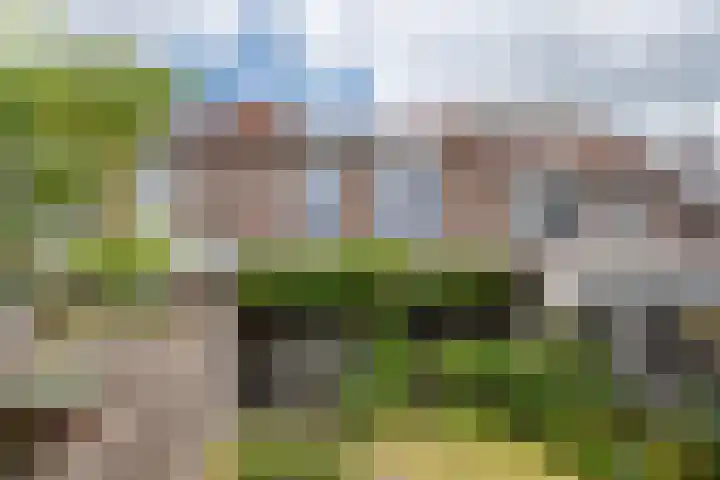 Schouwbroekseweg 45 Eindhoven thumbnail 44