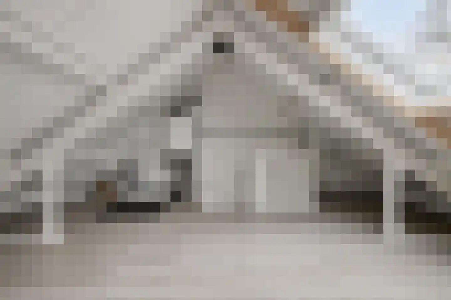 Schouwbroekseweg 6 A Eindhoven thumbnail 22