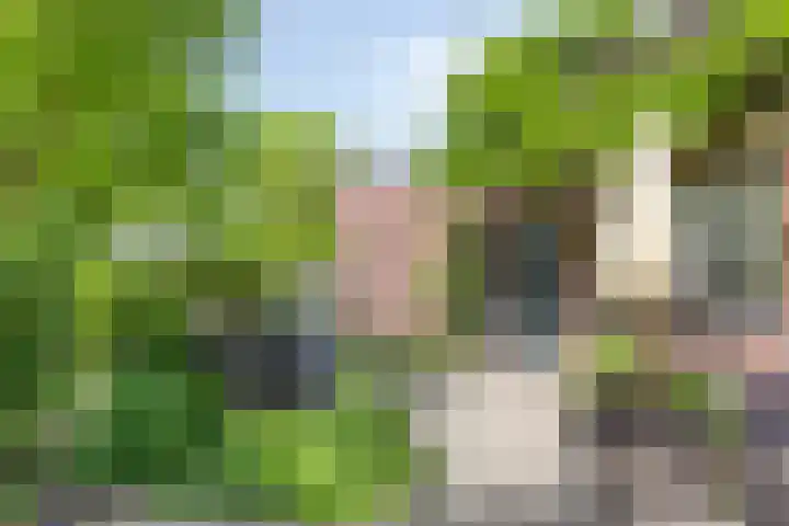 Schouwbroekseweg 61 Eindhoven thumbnail 47
