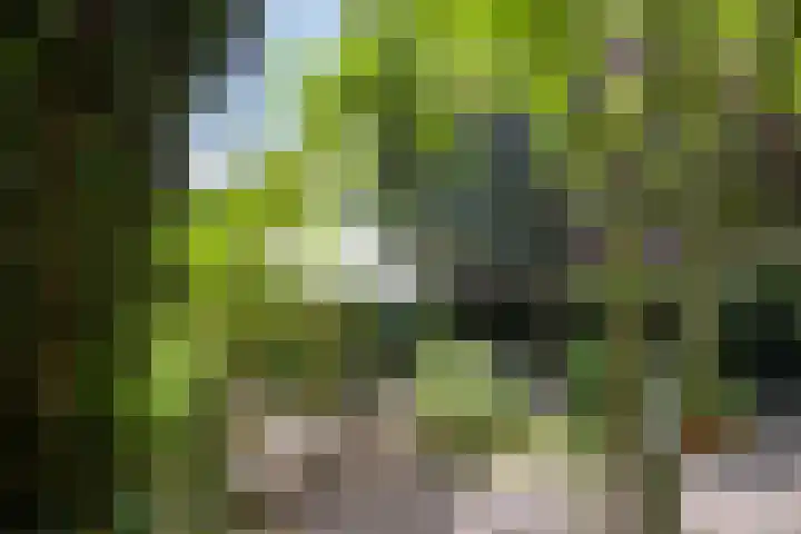 Schouwbroekseweg 61 Eindhoven thumbnail 52