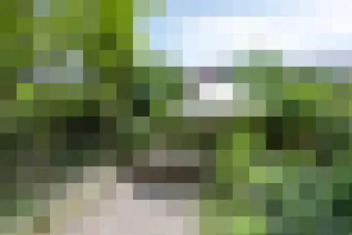 Schouwbroekseweg 61 Eindhoven thumbnail 53
