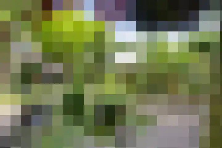 Schouwbroekseweg 61 Eindhoven thumbnail 54