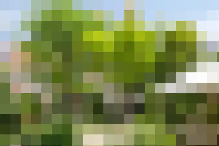 Schouwbroekseweg 61 Eindhoven thumbnail 57