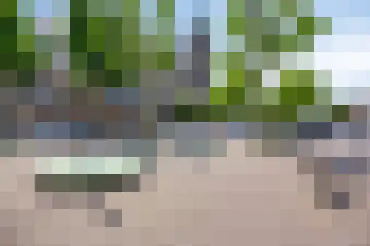 Schouwbroekseweg 61 Eindhoven thumbnail 66