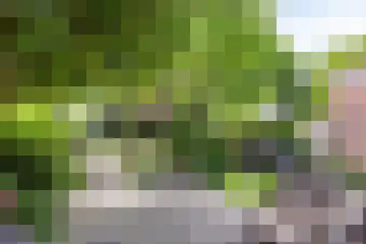 Schouwbroekseweg 61 Eindhoven thumbnail 7