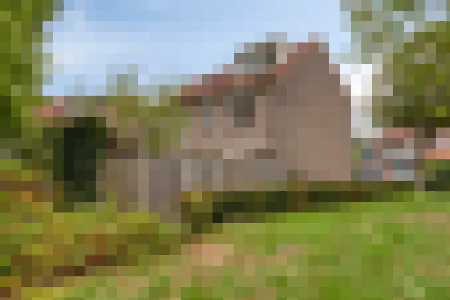 Schouwbroekseweg 8 B Eindhoven thumbnail 33