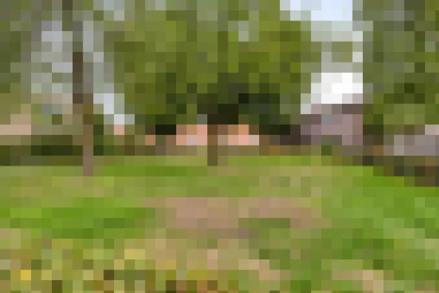 Schouwbroekseweg 8 B Eindhoven thumbnail 38