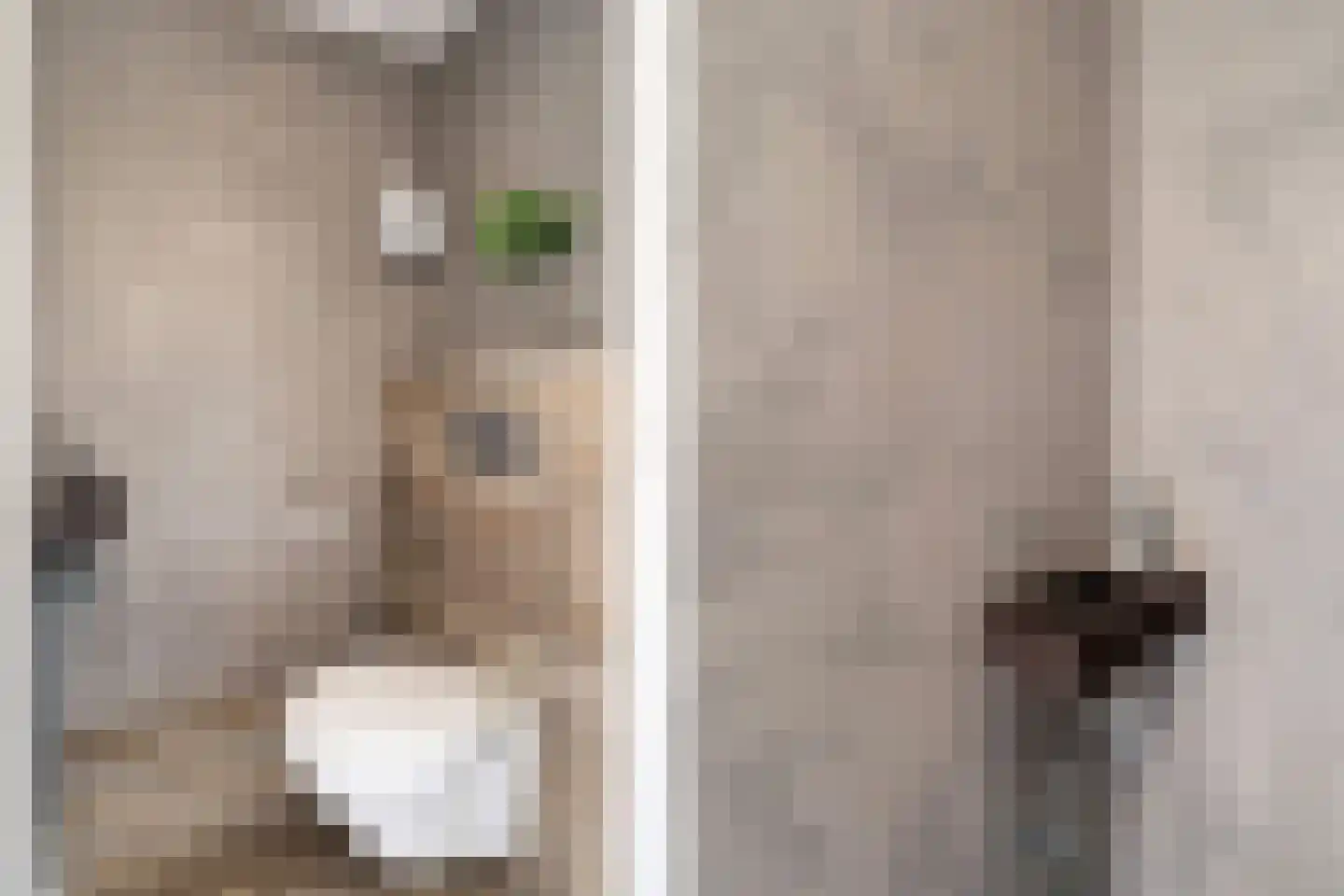 Schouwburglaan 4 Gouda thumbnail 12