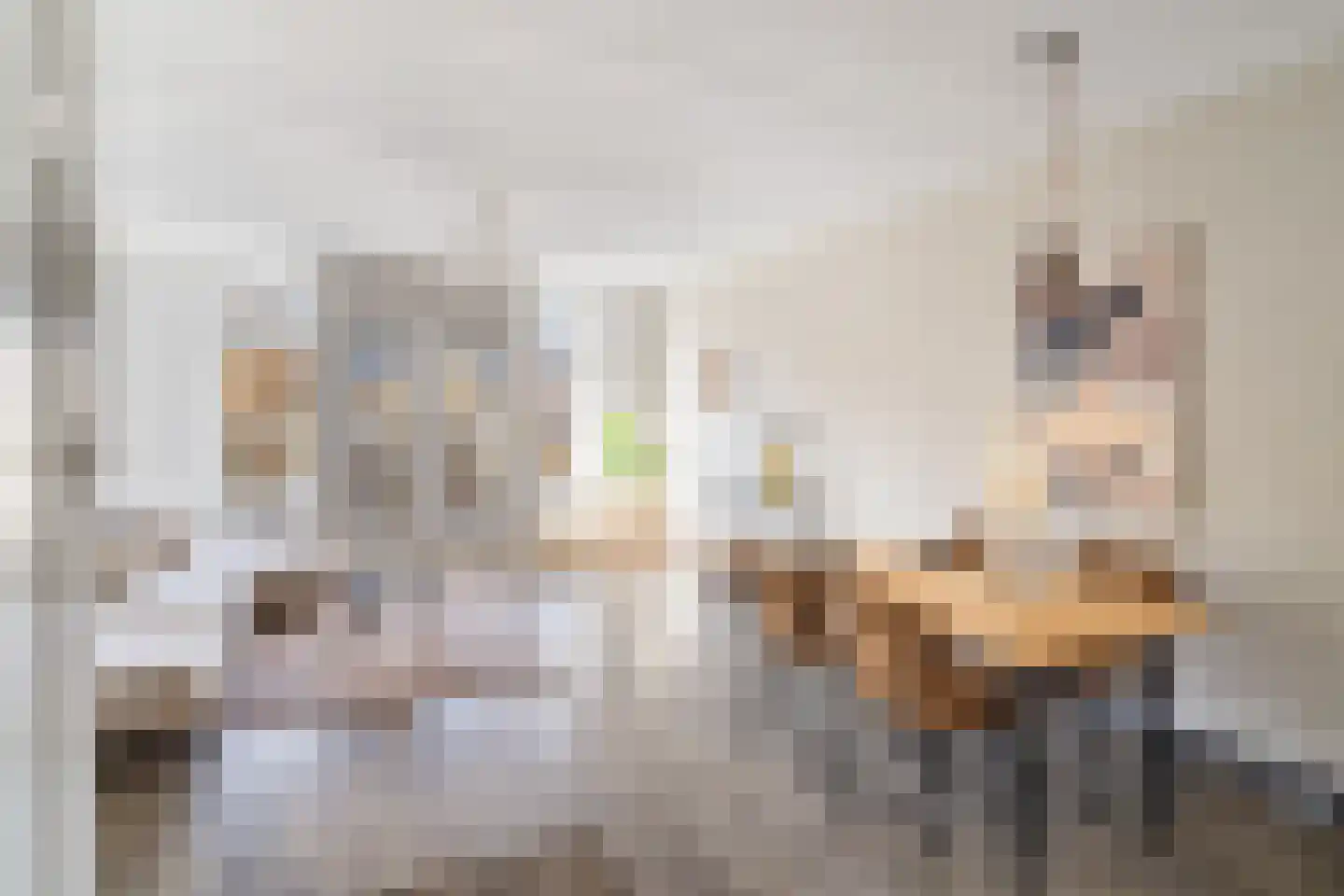 Schouwburglaan 4 Gouda thumbnail 13