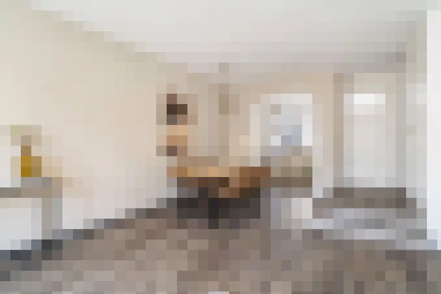 Schouwburglaan 4 Gouda thumbnail 18
