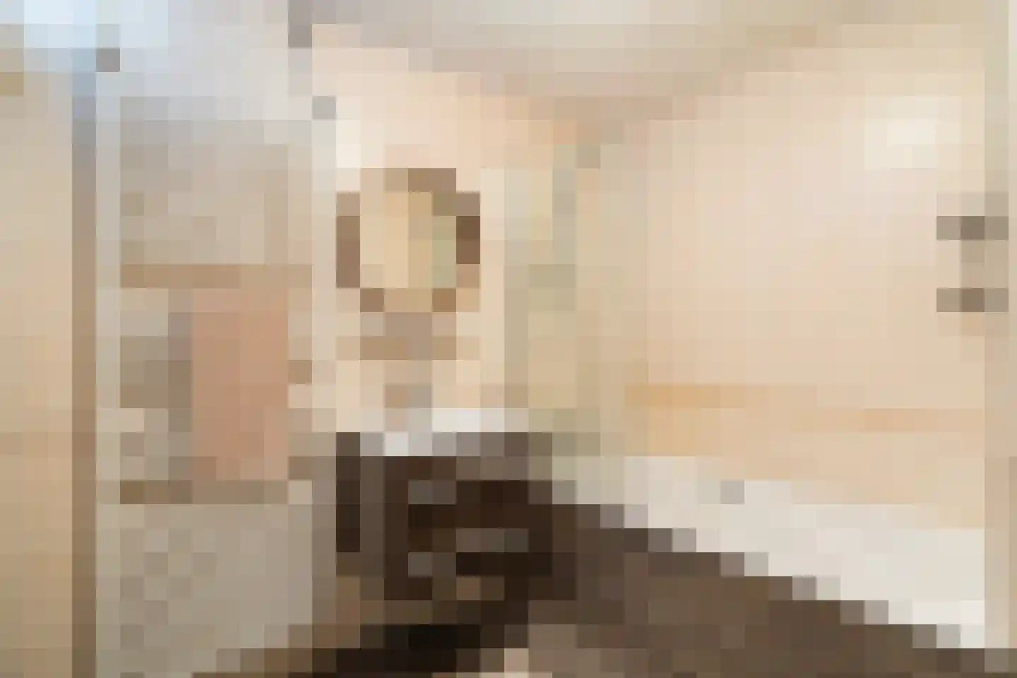 Schouwburglaan 4 Gouda thumbnail 6