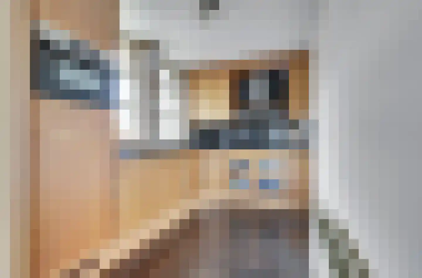 Schouwburglaan 8 Gouda thumbnail 4