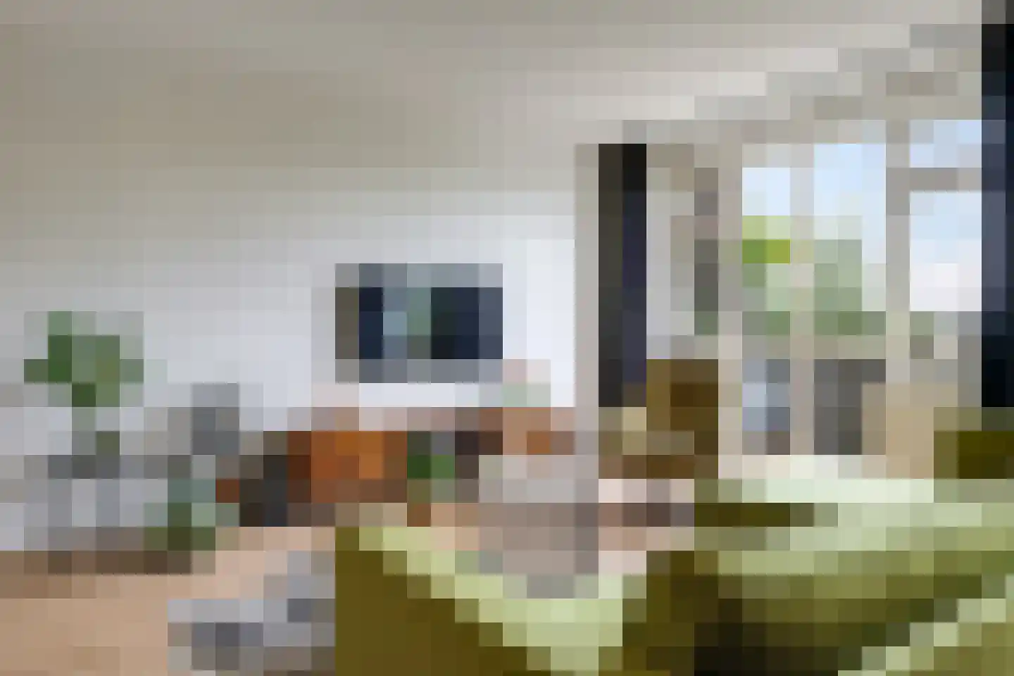 Schouwburgplein 60 Doetinchem thumbnail 13