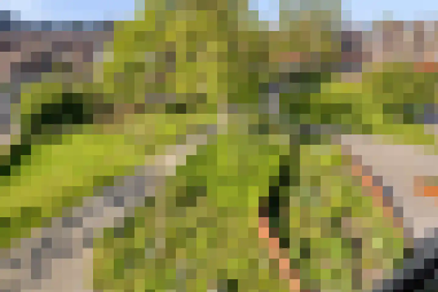 Schouwburgplein 94 Doetinchem thumbnail 18