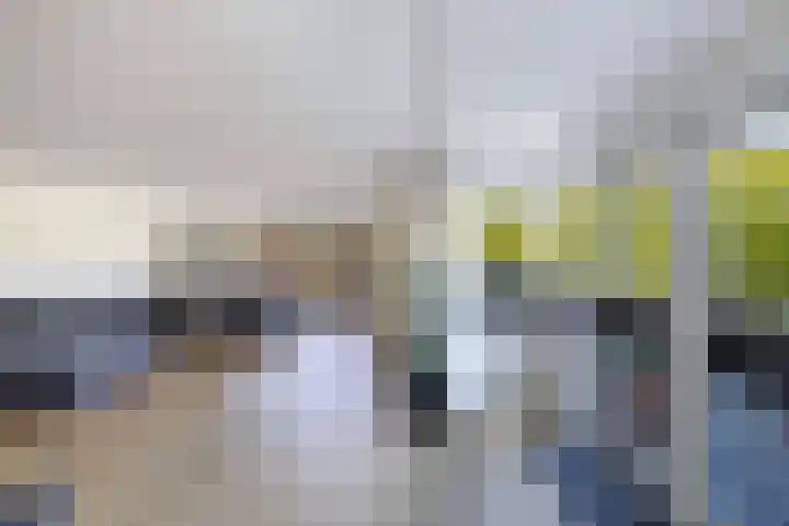 Schouwen 13 Emmeloord thumbnail 10