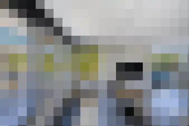 Schouwen 13 Emmeloord thumbnail 13