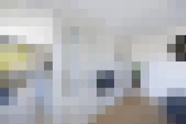 Schouwen 13 Emmeloord thumbnail 17