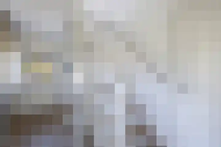 Schouwen 13 Emmeloord thumbnail 24
