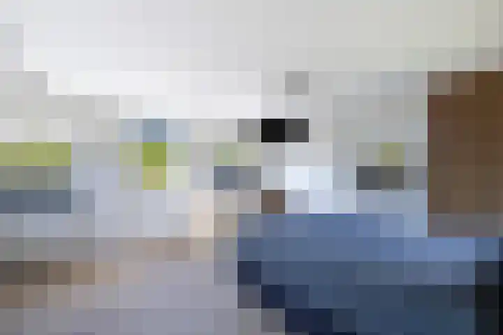 Schouwen 13 Emmeloord thumbnail 25