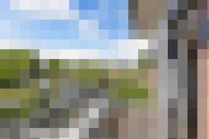 Schouwen 13 Emmeloord thumbnail 29