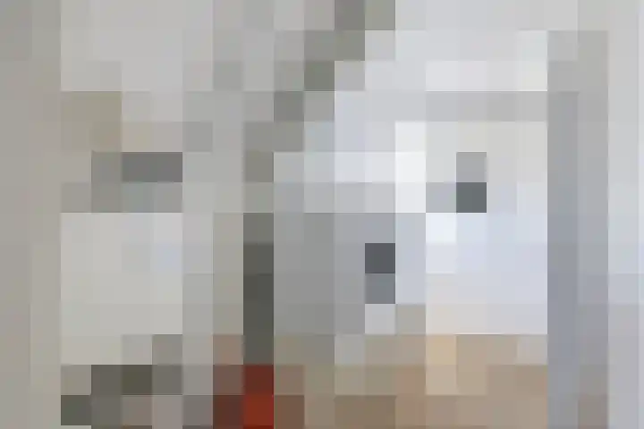 Schouwen 13 Emmeloord thumbnail 38
