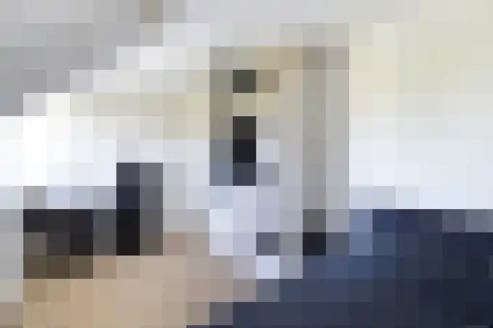 Schouwen 13 Emmeloord thumbnail 40