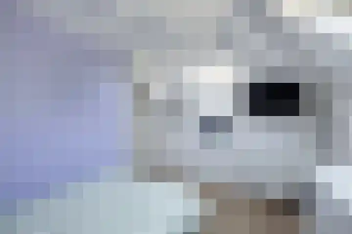 Schouwen 13 Emmeloord thumbnail 44