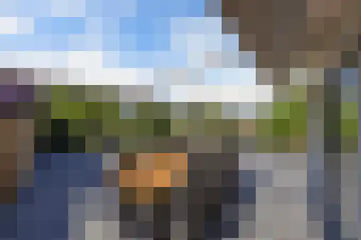 Schouwen 13 Emmeloord thumbnail 47