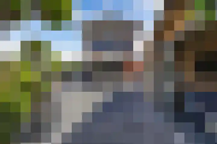 Schouwen 13 Emmeloord thumbnail 48