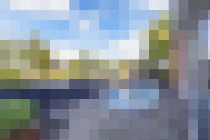 Schouwen 13 Emmeloord thumbnail 54