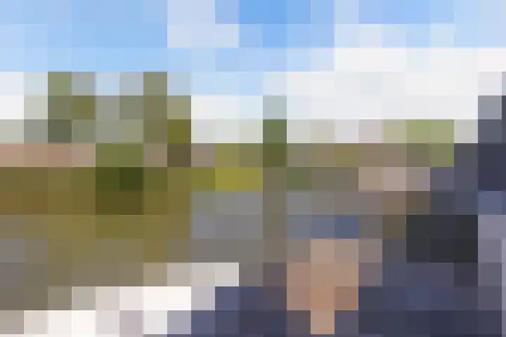 Schouwen 13 Emmeloord thumbnail 60