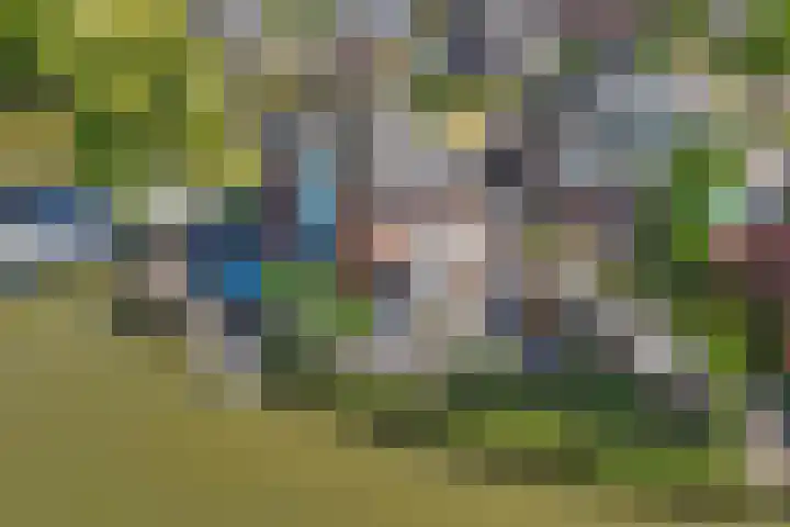 Schouwen 13 Emmeloord thumbnail 61