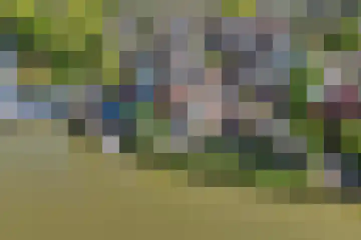 Schouwen 13 Emmeloord thumbnail 62