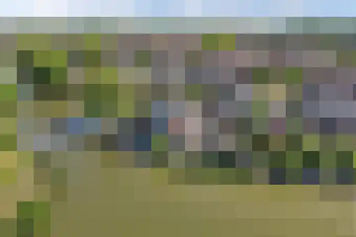 Schouwen 13 Emmeloord thumbnail 63