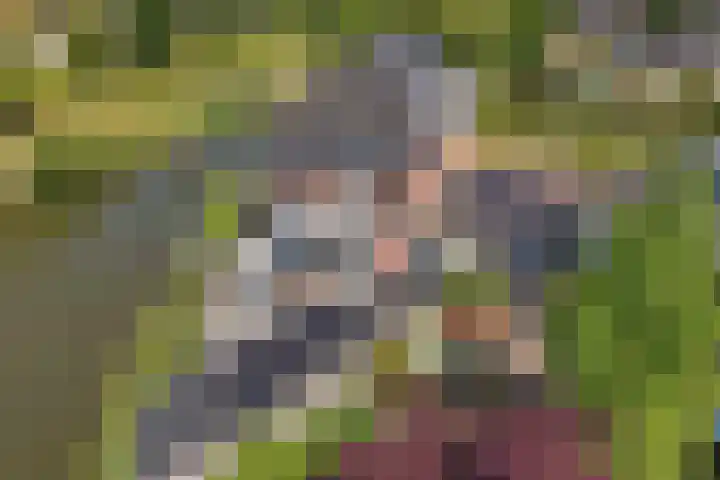 Schouwen 13 Emmeloord thumbnail 64