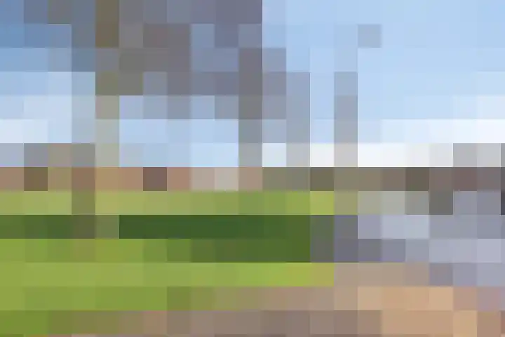 Schouwen 36 Emmeloord thumbnail 33