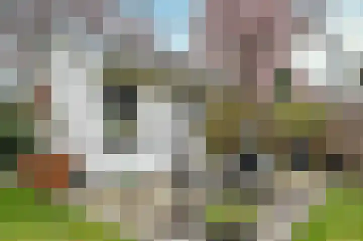 Schouwen 64 Emmeloord thumbnail 32