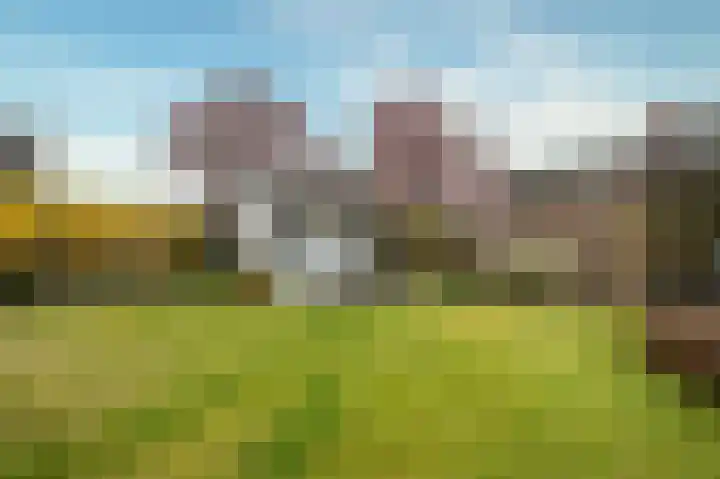 Schouwen 64 Emmeloord thumbnail 37