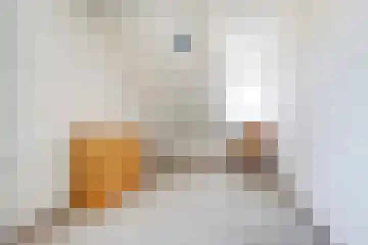 Schouwenbank 112 Zierikzee thumbnail 19