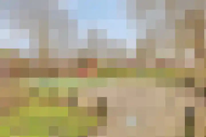 Schouwenbank 126 Zierikzee thumbnail 35