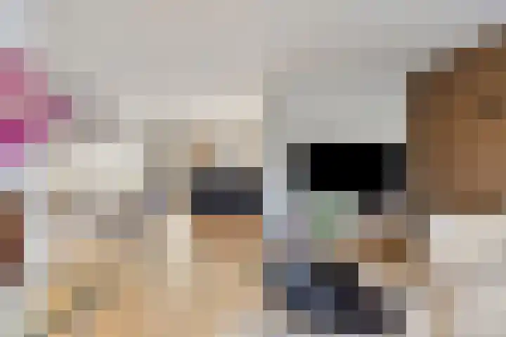 Schouwenbank 126 Zierikzee thumbnail 8