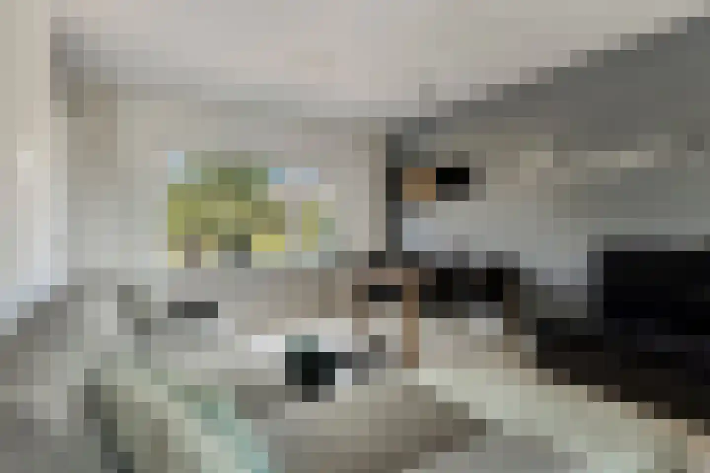 Schouwenbank 21 Zierikzee thumbnail 17