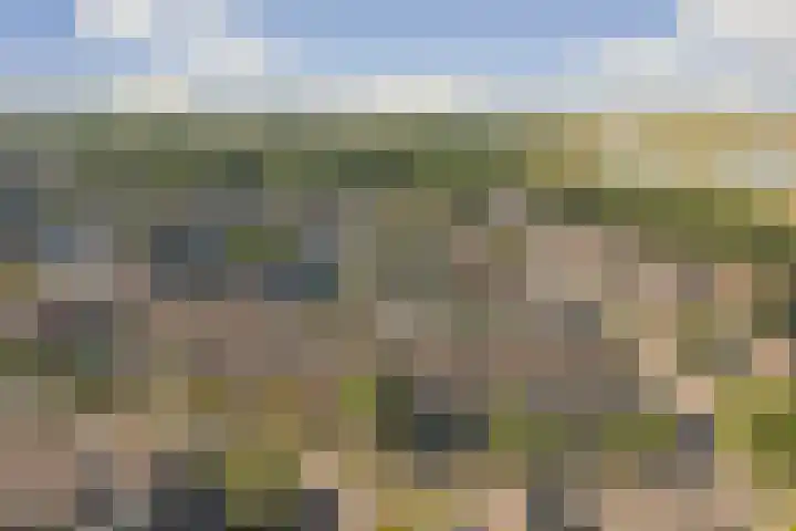 Schouwenbank 29 Zierikzee thumbnail 21