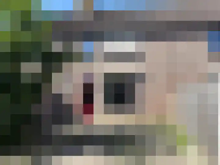 Schouwenbank 31 Zierikzee thumbnail 21