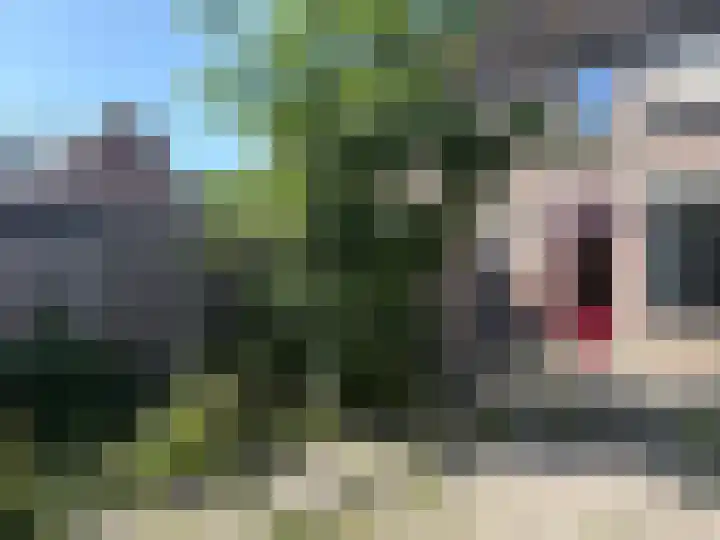 Schouwenbank 31 Zierikzee thumbnail 22