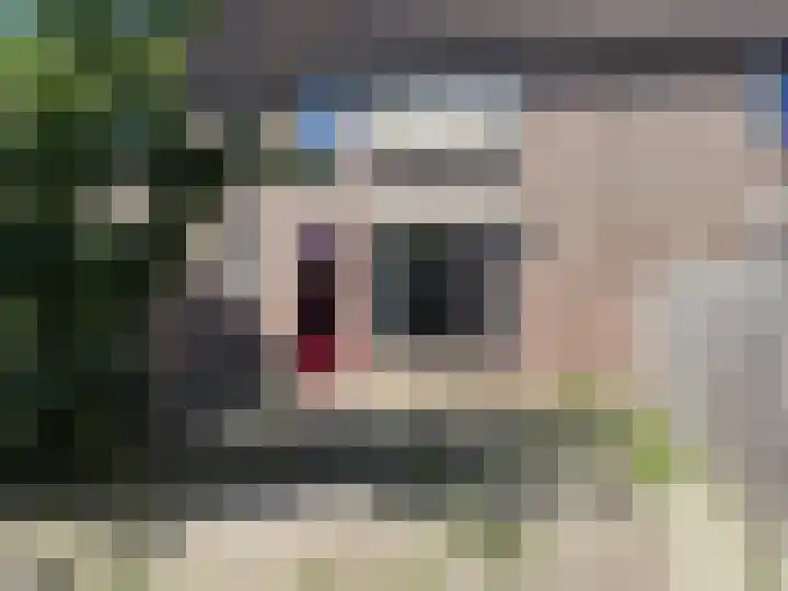 Schouwenbank 31 Zierikzee thumbnail 23