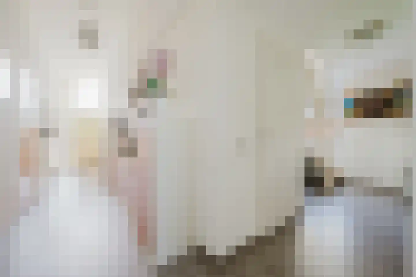 Schouwenburglaan 12 Spijkenisse thumbnail 23