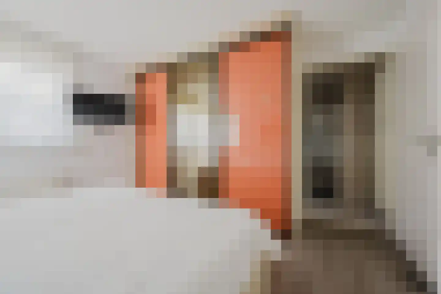 Schouwenburglaan 12 Spijkenisse thumbnail 25